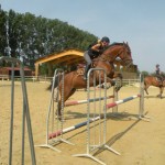 Stage CSO Juillet 2013